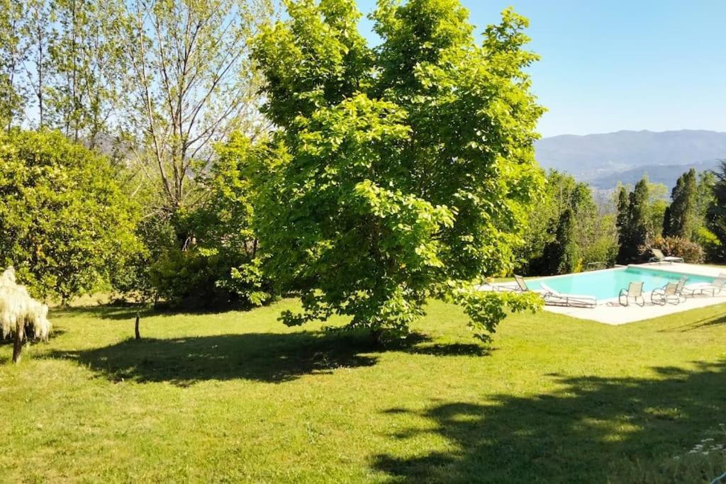 Confort, Fun And Leisure In Douro Rural Space Sande  Exterior photo