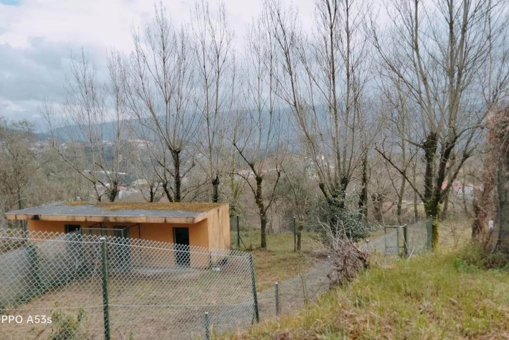 Confort, Fun And Leisure In Douro Rural Space Sande  Exterior photo